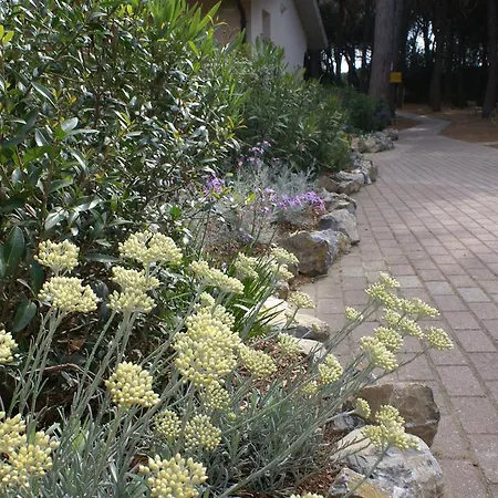 Golfo Di Maremma Village Albinia