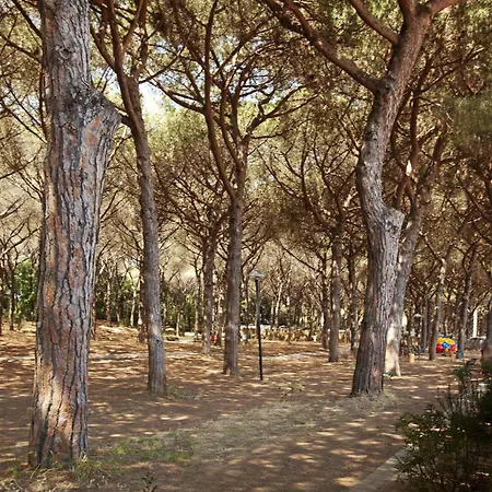 Village Golfo Degli Etruschi Albinia